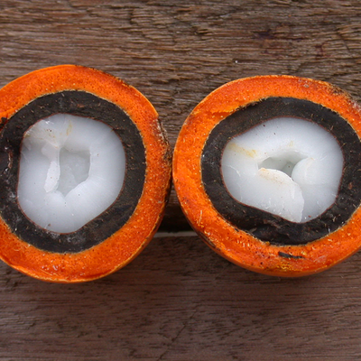 Tucuma