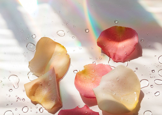 Detoxifying the Skin