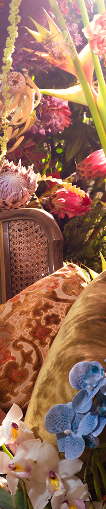 Decorative image