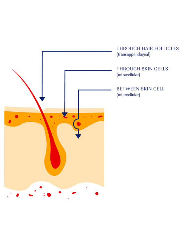 About image
