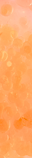 Decorative image